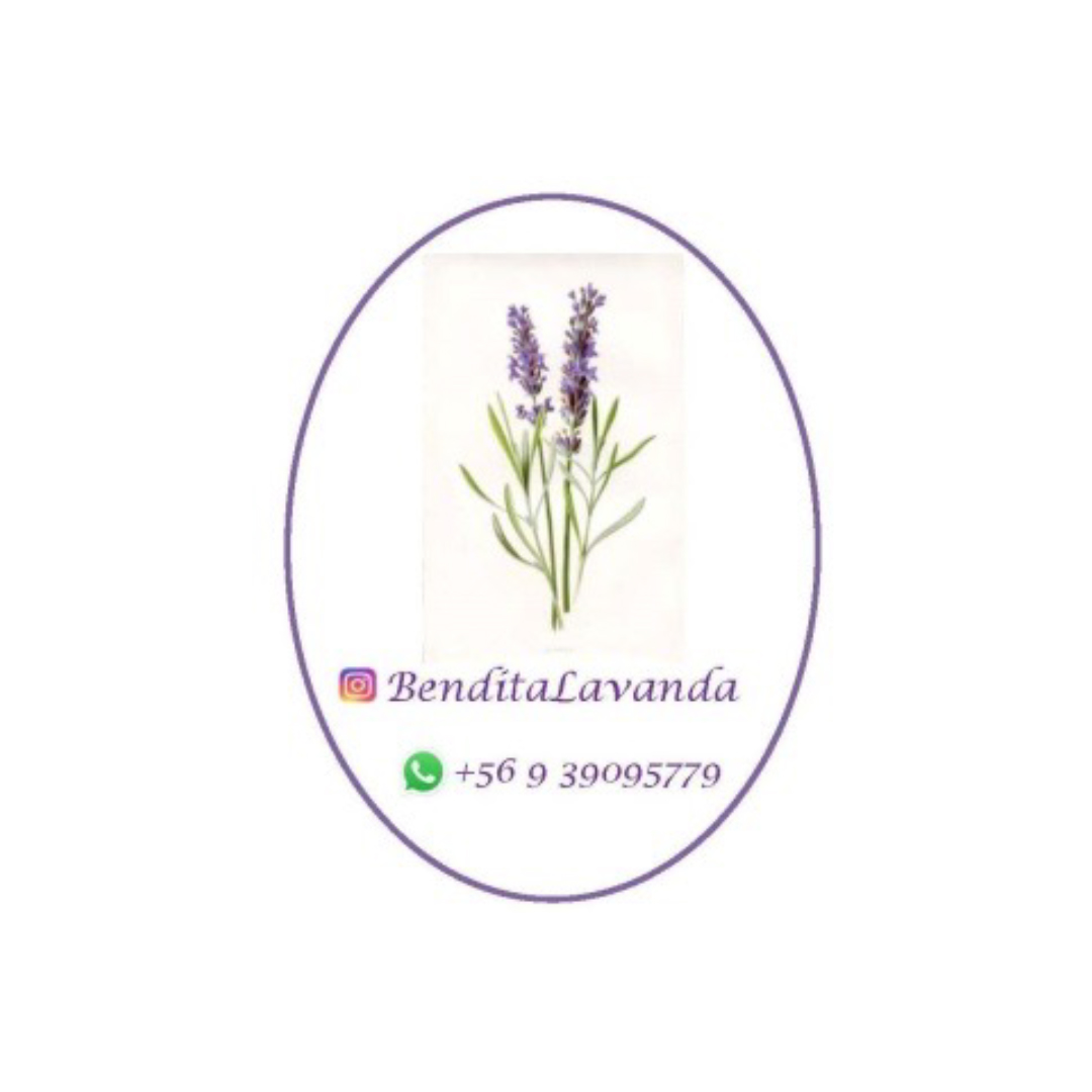 bendi